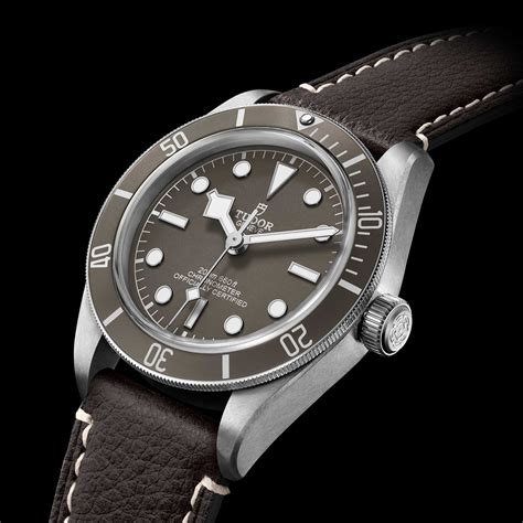 tudor m79010sg-0001|tudor silver case watch.